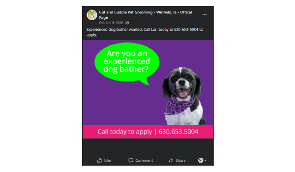 product_thumbnail_598.98x350_dog-groomer-now-hiring