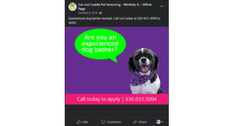 Dog Groomer Facebook Ad