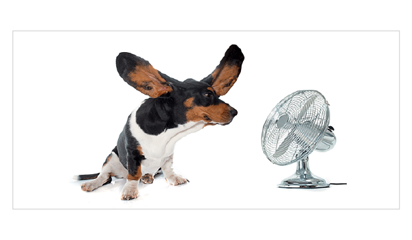 product_thumbnail_598.98x350_hvac-campaign-animated-header